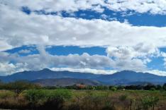 Le Honduras : entre forêt tropicale et plages