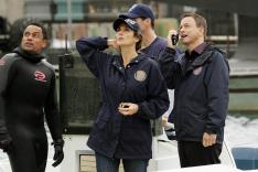 Les experts : Manhattan