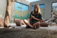 Refuges pour animaux sauvages