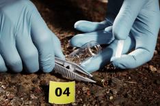 Au bout de l'enquête, la fin du crime parfait ?