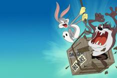 Looney Tunes Cartoons