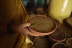 Alimentation : l'avenir en céréales ?