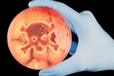 42, la réponse à presque tout