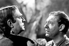 Frankenstein rencontre le loup-garou