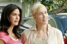 Desperate Housewives