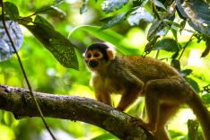 Destination Wild : Pérou sauvage