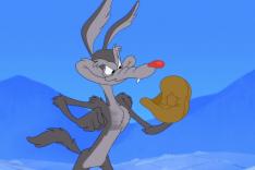 Looney Tunes Cartoons