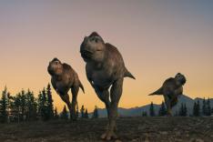 Sur la terre des dinosaures