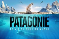 Patagonie la vie au bout du monde