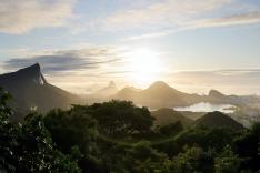 Nature : le retour du sauvage