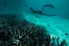 Australie : les profondeurs de l'océan