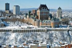 Des racines et des ailes