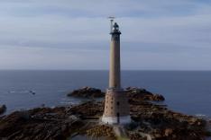 Des racines et des ailes