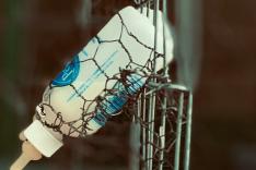 SOS animaux orphelins