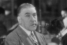 Un chien qui rapporte