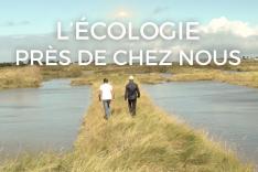 L'écologie près de chez nous
