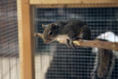Le refuge du bonheur