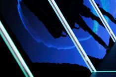 Tennis : Masters 1000 de Paris