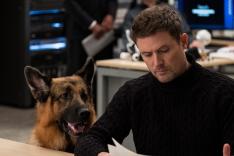 Hudson & Rex