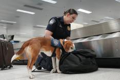 Ultimate Airport USA