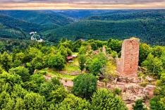 Des racines et des ailes