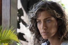 Section de recherches