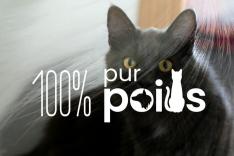 100% pur poils