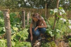 Les potagers de Julie