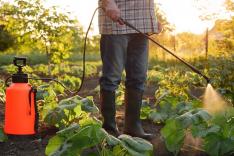 Le grand dossier - Le débat