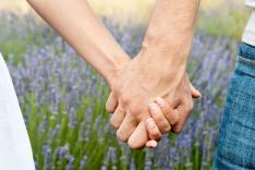 Les 100 vidéos qui ont fait rire le monde entier