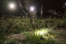 La vérité à tout prix