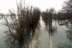 Cataclysmes, les grands régulateurs