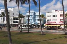 Des racines et des ailes