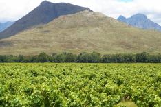 Les 100 merveilles du monde