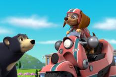 Paw Patrol, la Pat'Patrouille