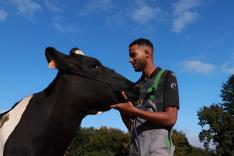 Nolan - devenir éleveur en Bretagne, la génération d'après