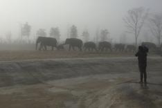 Expédition Pairi Daiza