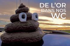 De l'or dans nos WC, nos étrons sauveront-ils le monde ?