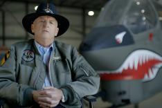 Les combattants du ciel