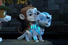 Paw Patrol, la Pat'Patrouille