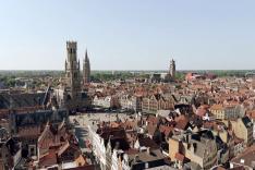 Des racines et des ailes