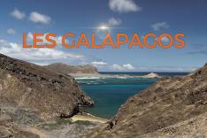 Les Galapagos