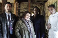 Les enquêtes de Vera