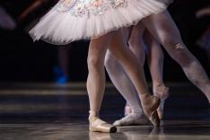 Compañía Danza Contemporánea de Cuba - Sacrificio