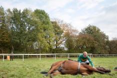 All Creatures Great and Small