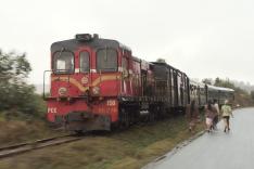 Des trains pas comme les autres