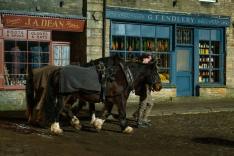 All Creatures Great and Small