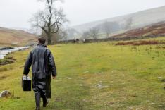 All Creatures Great and Small