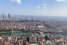 Des racines et des ailes