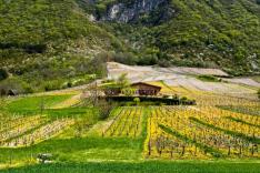 Enquêtes de région